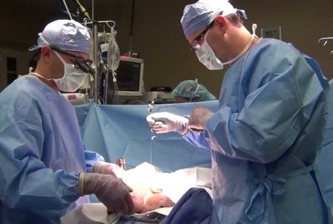 Трансплантация печени в Израиле